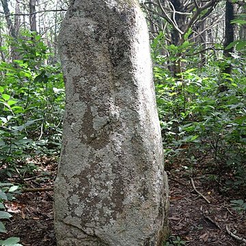 Menhir