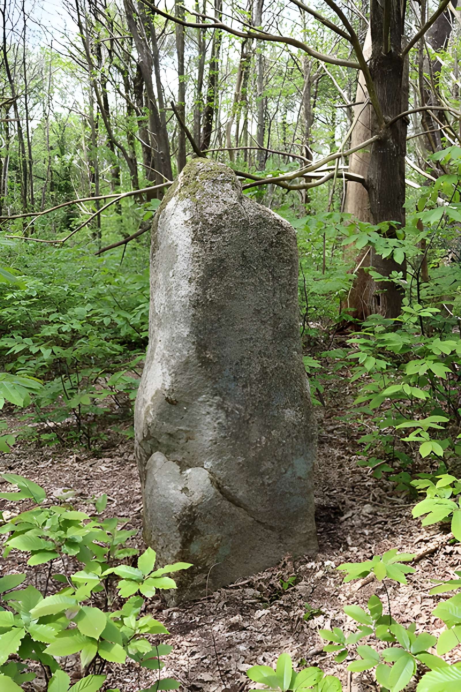 Menhir