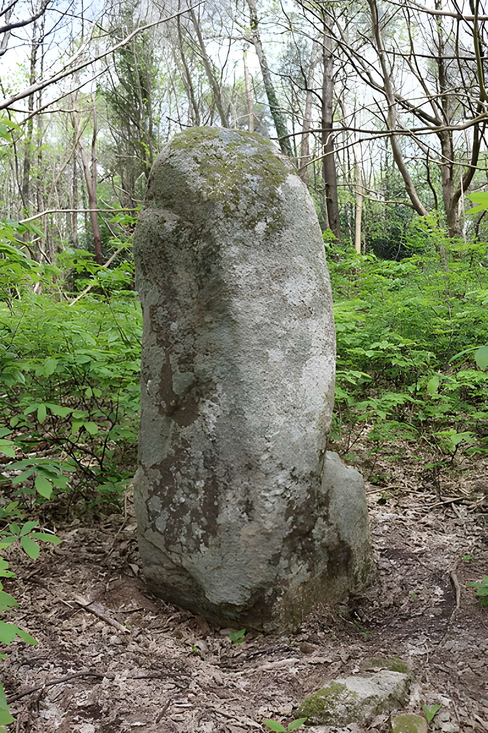Menhir