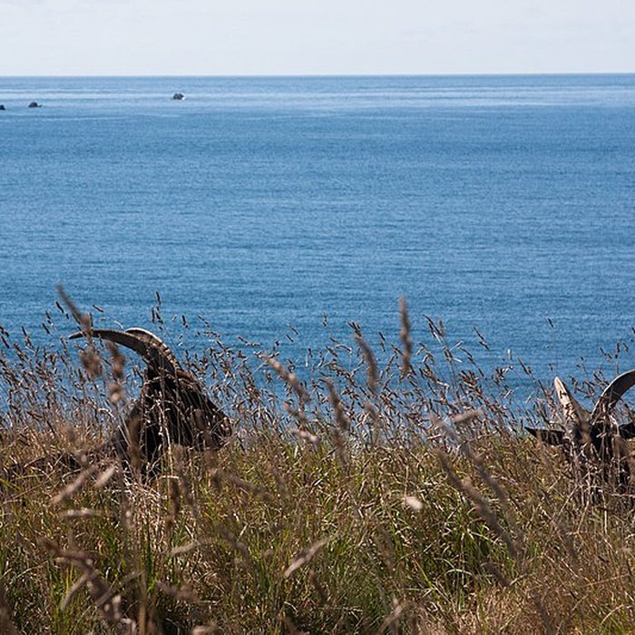 Photo de Phare de Nividic