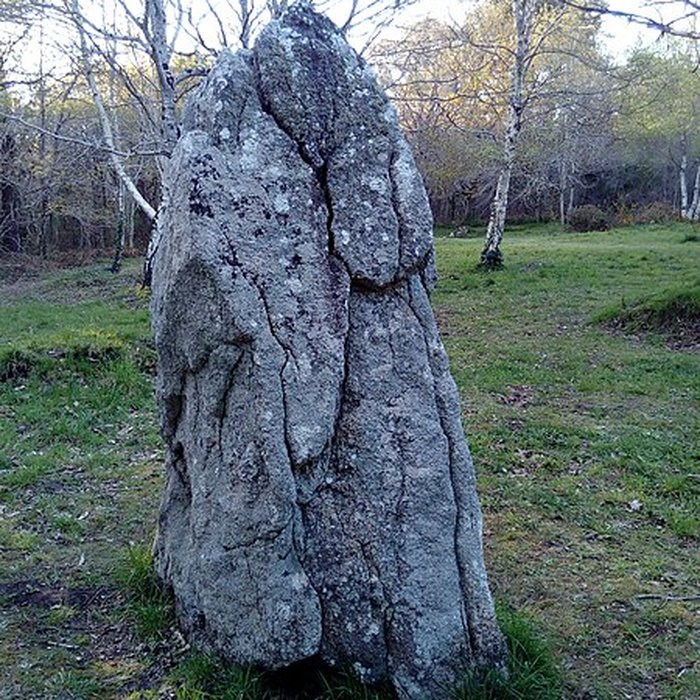 Photo de Menhir de Kerdalaë-Lesconil
