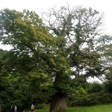 Château de Pérennou