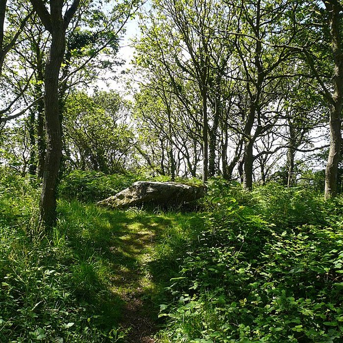 Photo de Dolmen de Penquer-Bloas