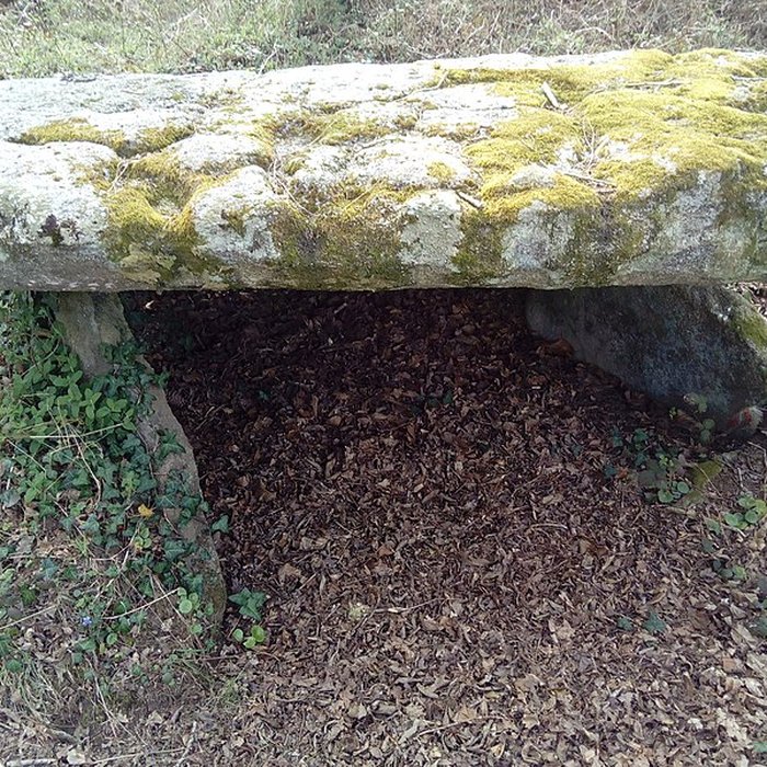 Photo de Dolmen de Penquer-Bloas