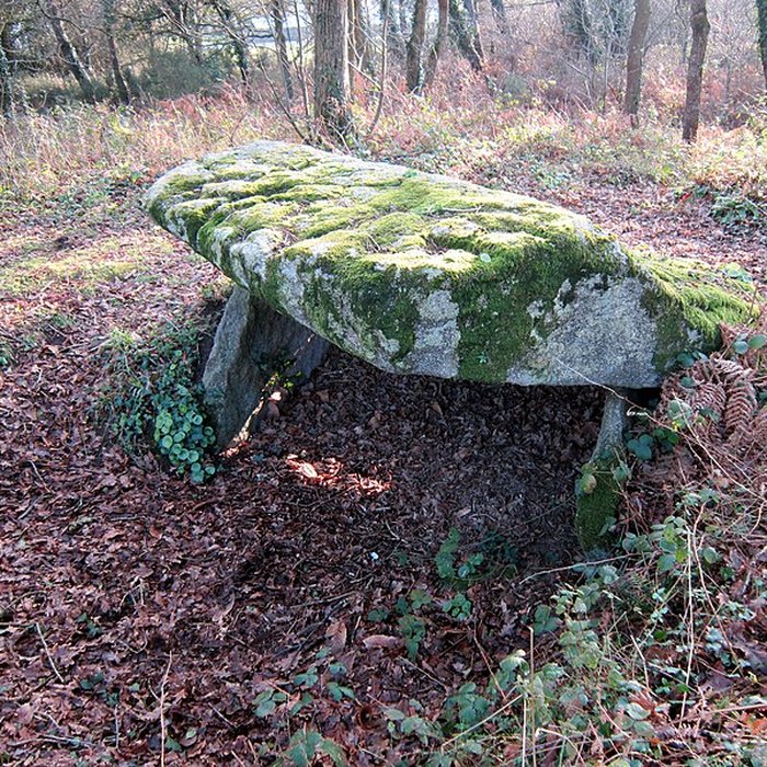Photo de Dolmen de Penquer-Bloas