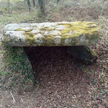 Dolmen de Penquer-Bloas