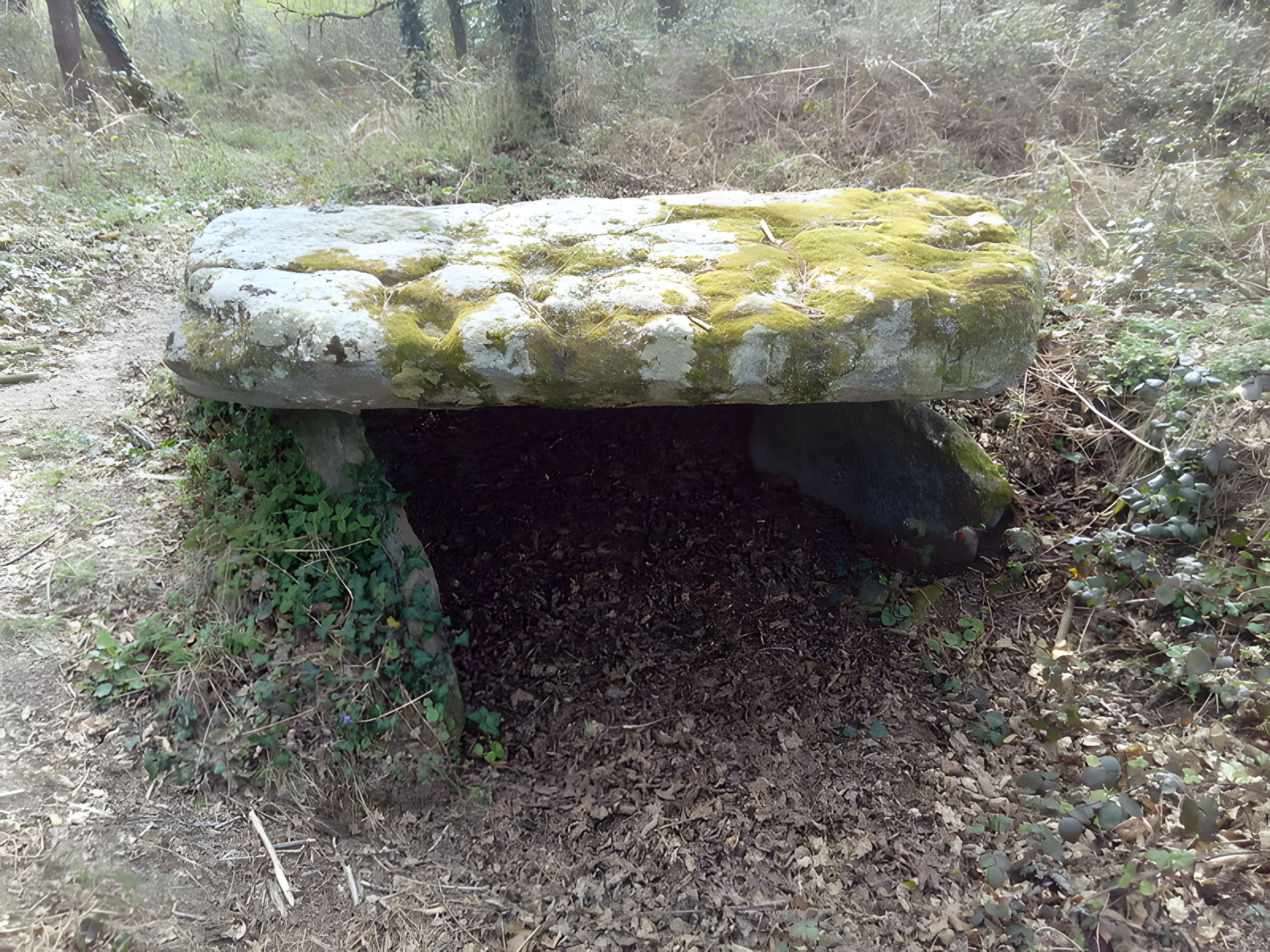 Dolmen de Penquer-Bloas