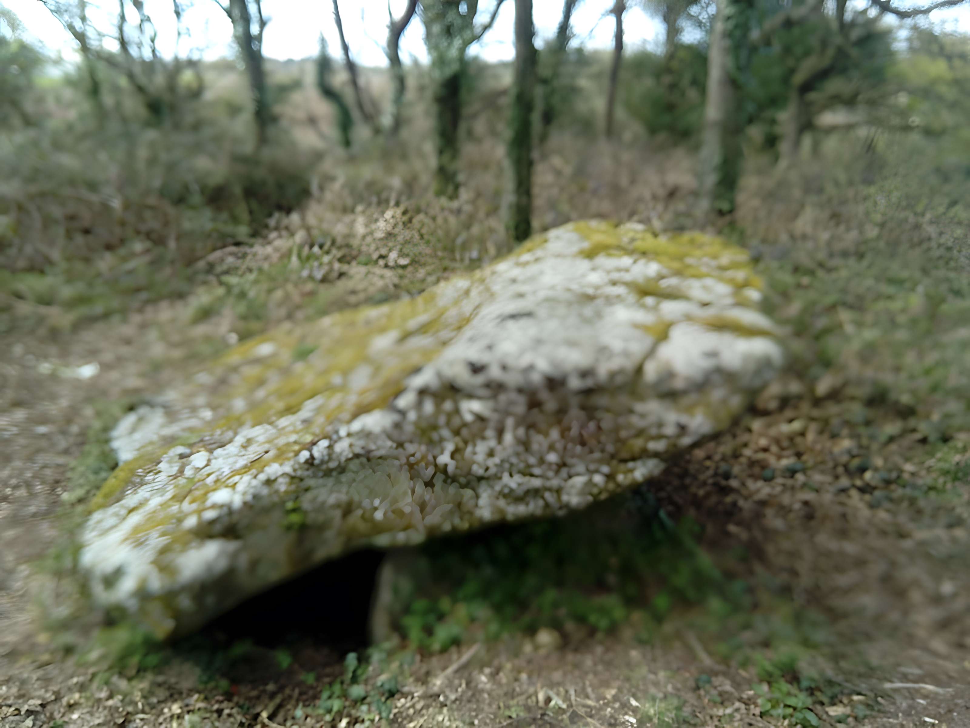 Dolmen de Penquer-Bloas