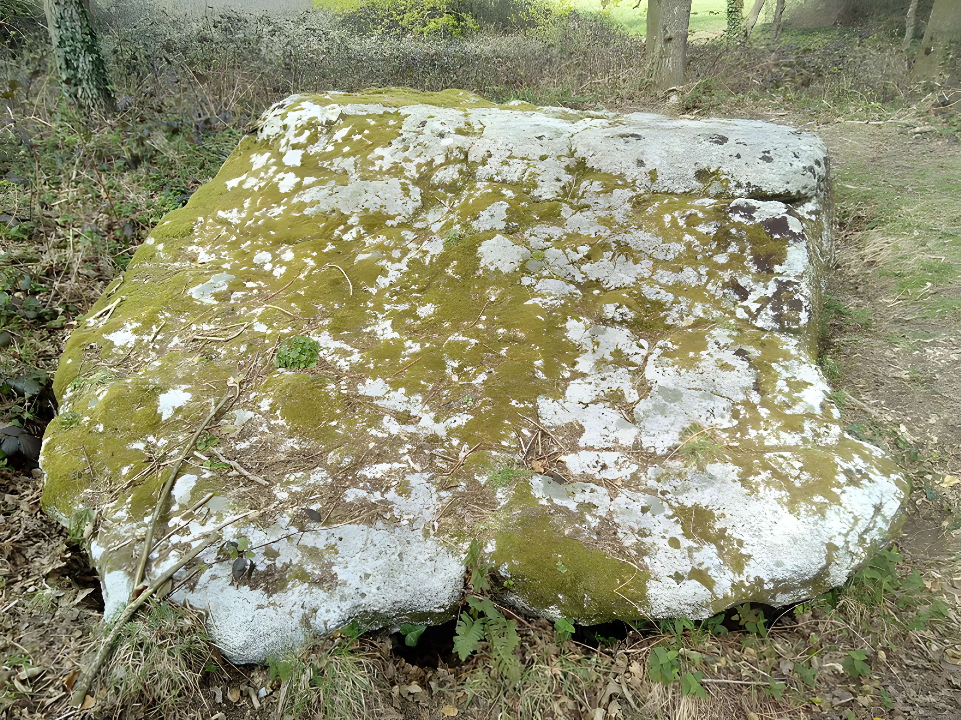 Dolmen de Penquer-Bloas