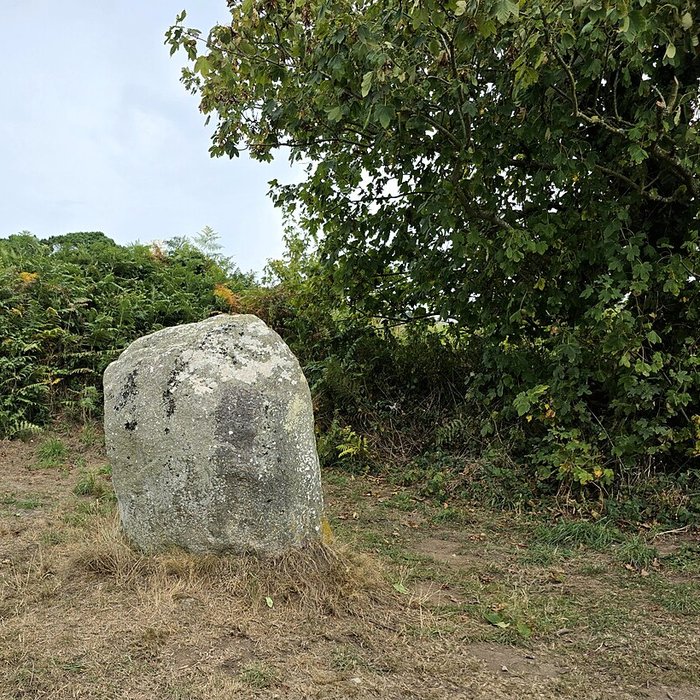 Photo de Galerie dolménique