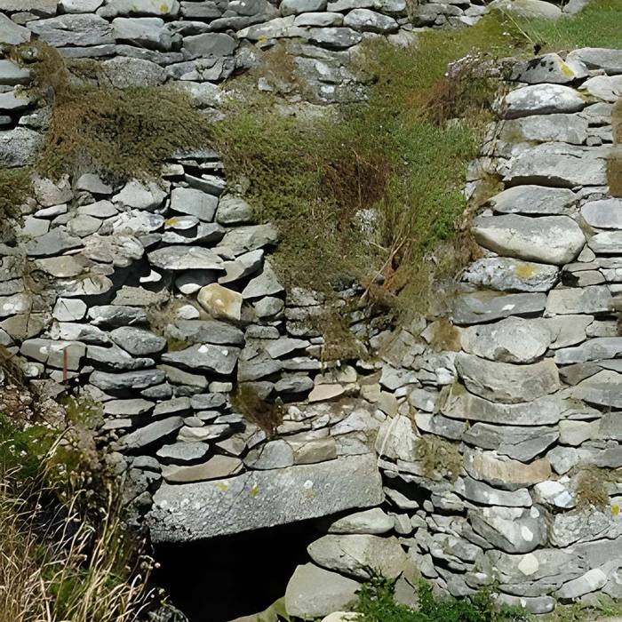 Photo de Tumulus à dolmen