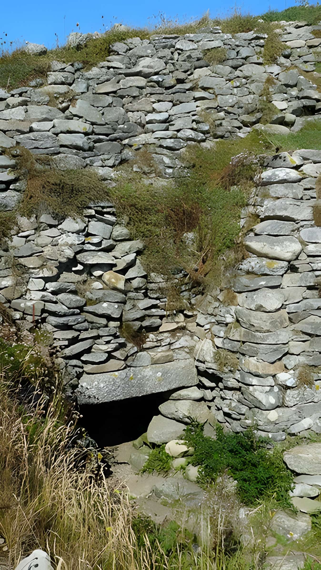 Tumulus à dolmen