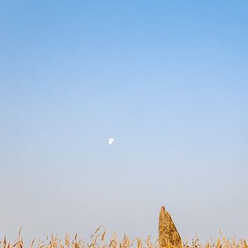 Menhir