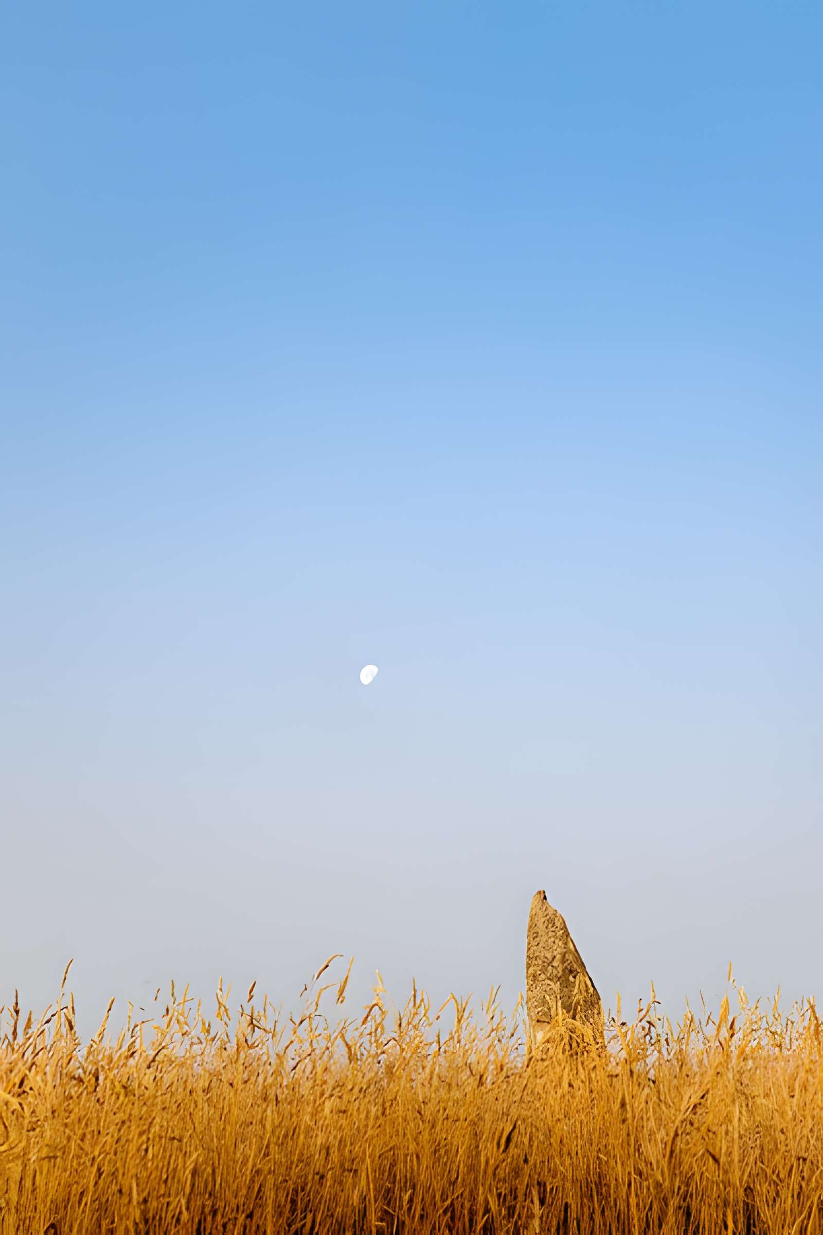 Menhir