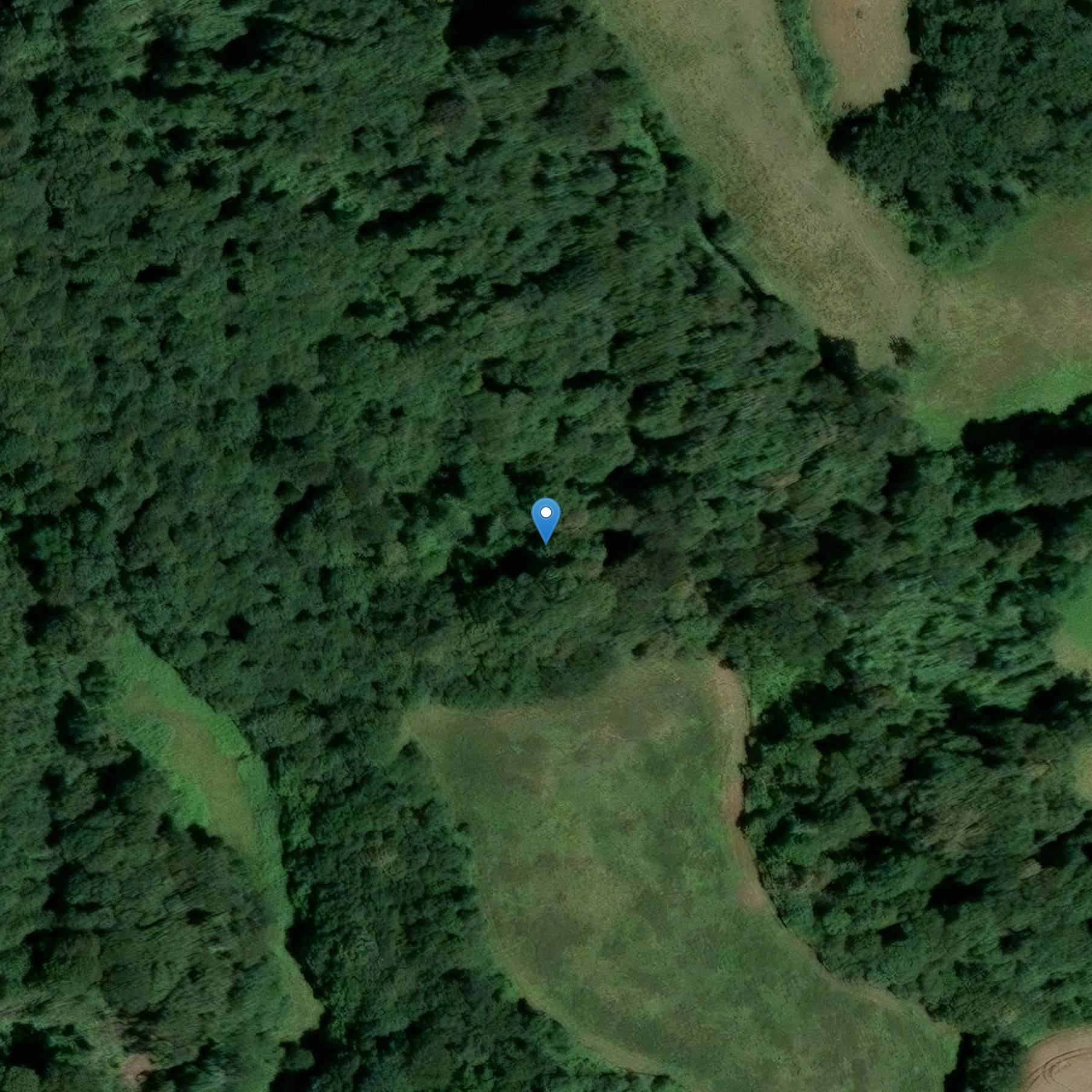 Photo de Site archéologique de Morizur