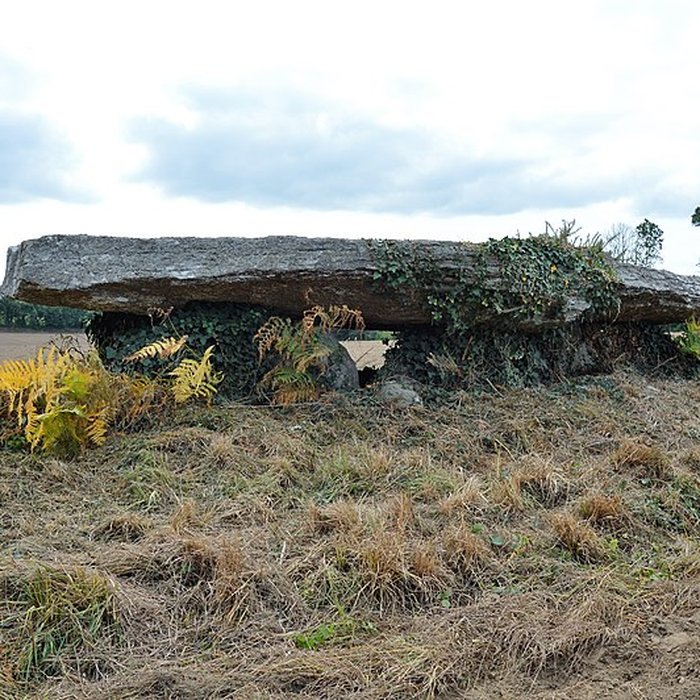 Photo de Deux dolmens
