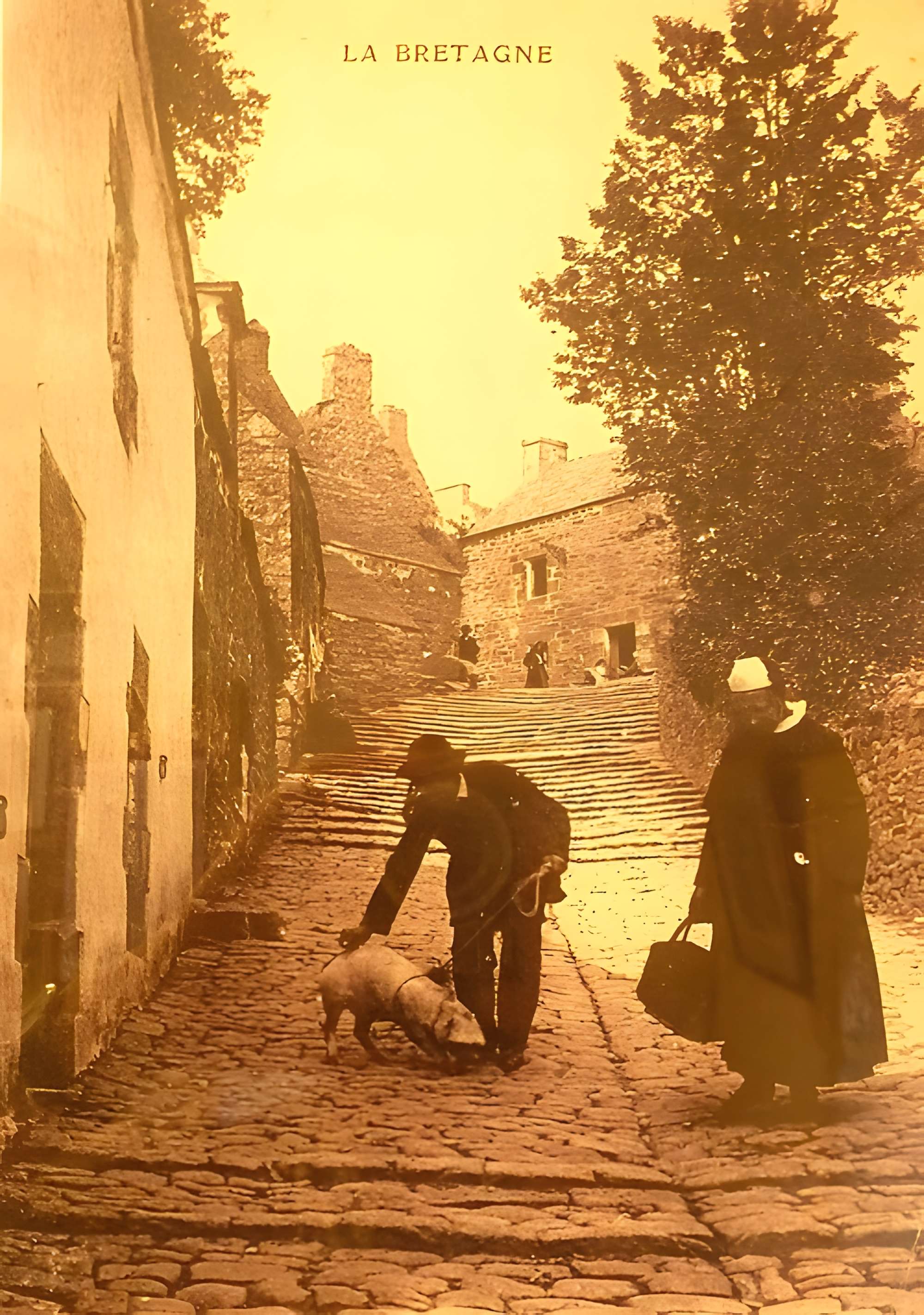 Maison dite le Marquisat