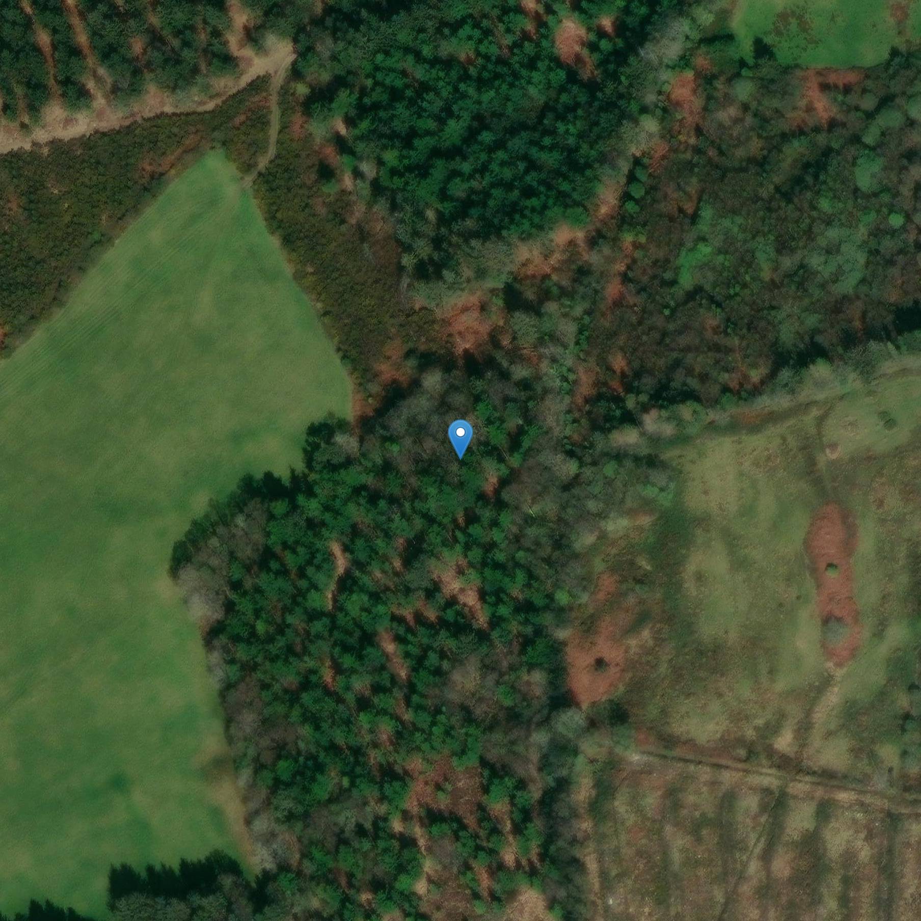 Photo de Mendy Menhir