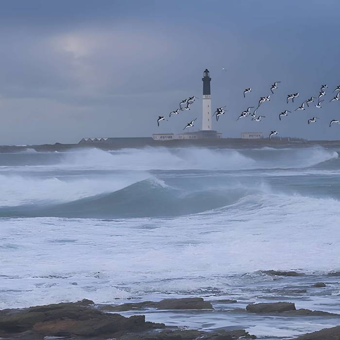 Photo de Phare de lîle de Sein