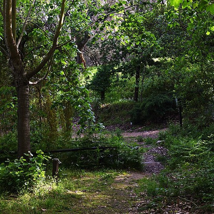 Photo de Domaine des Milelli