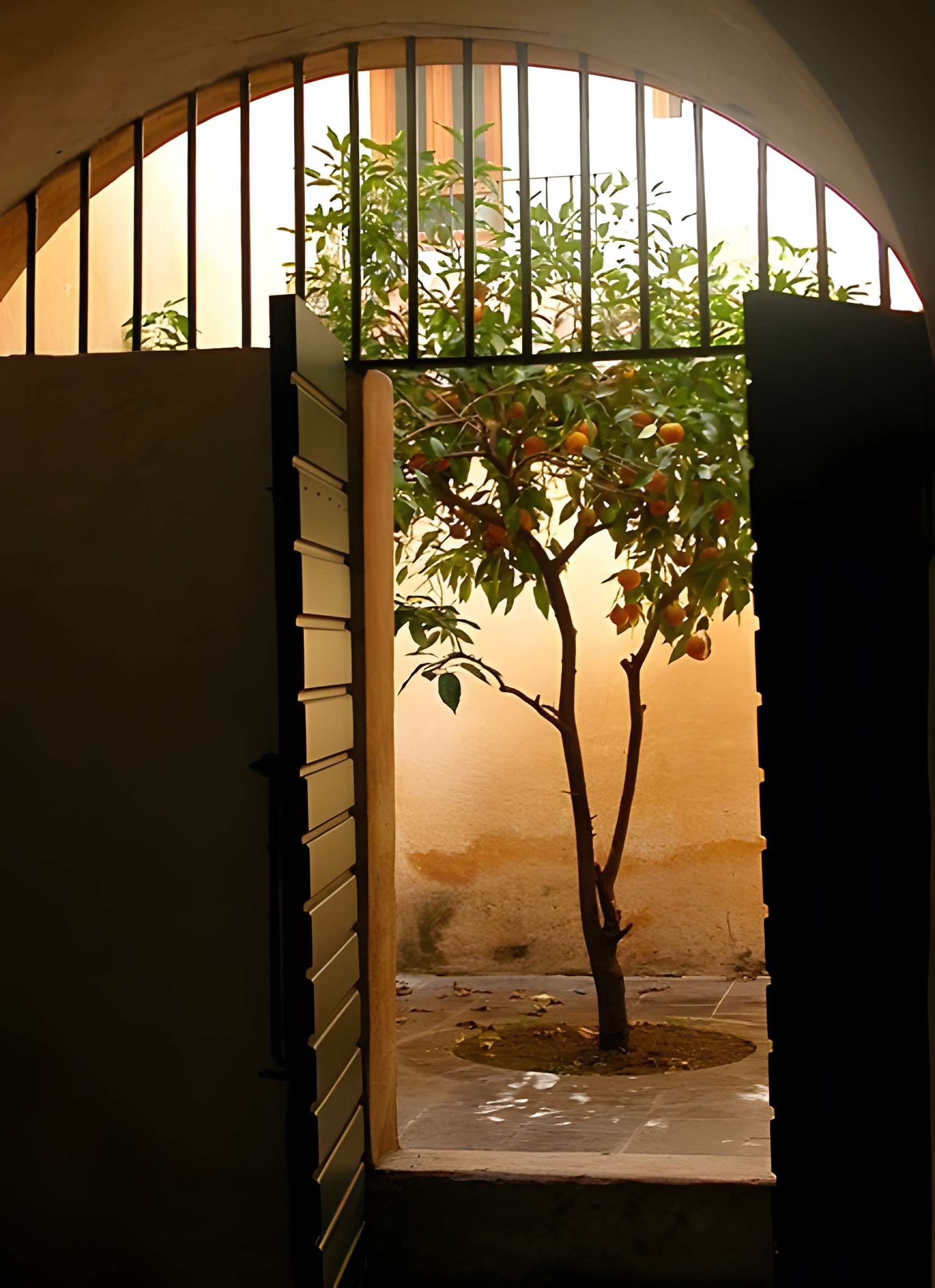 Maison de Napoléon Bonaparte