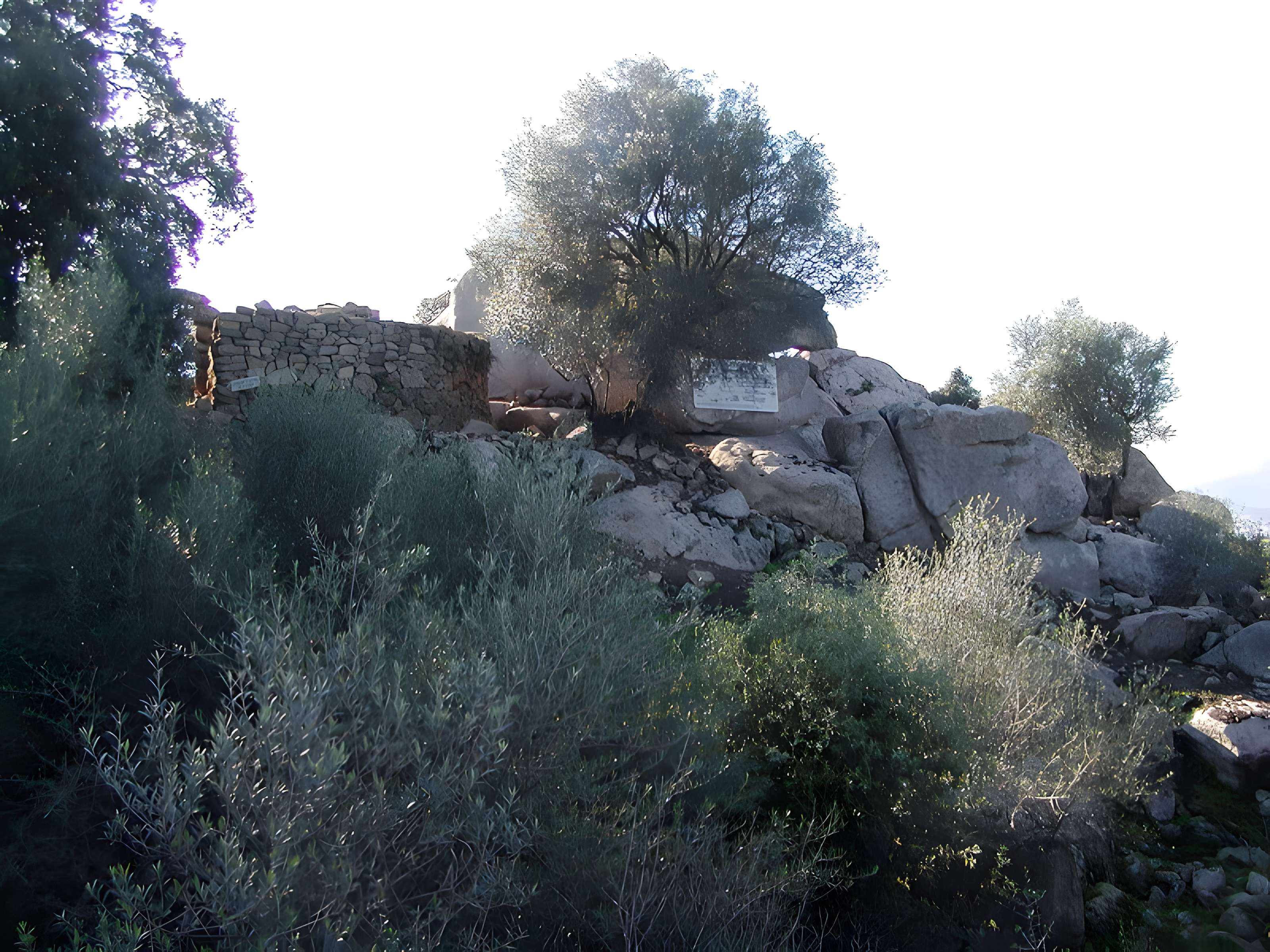 Site archéologique de Tappa