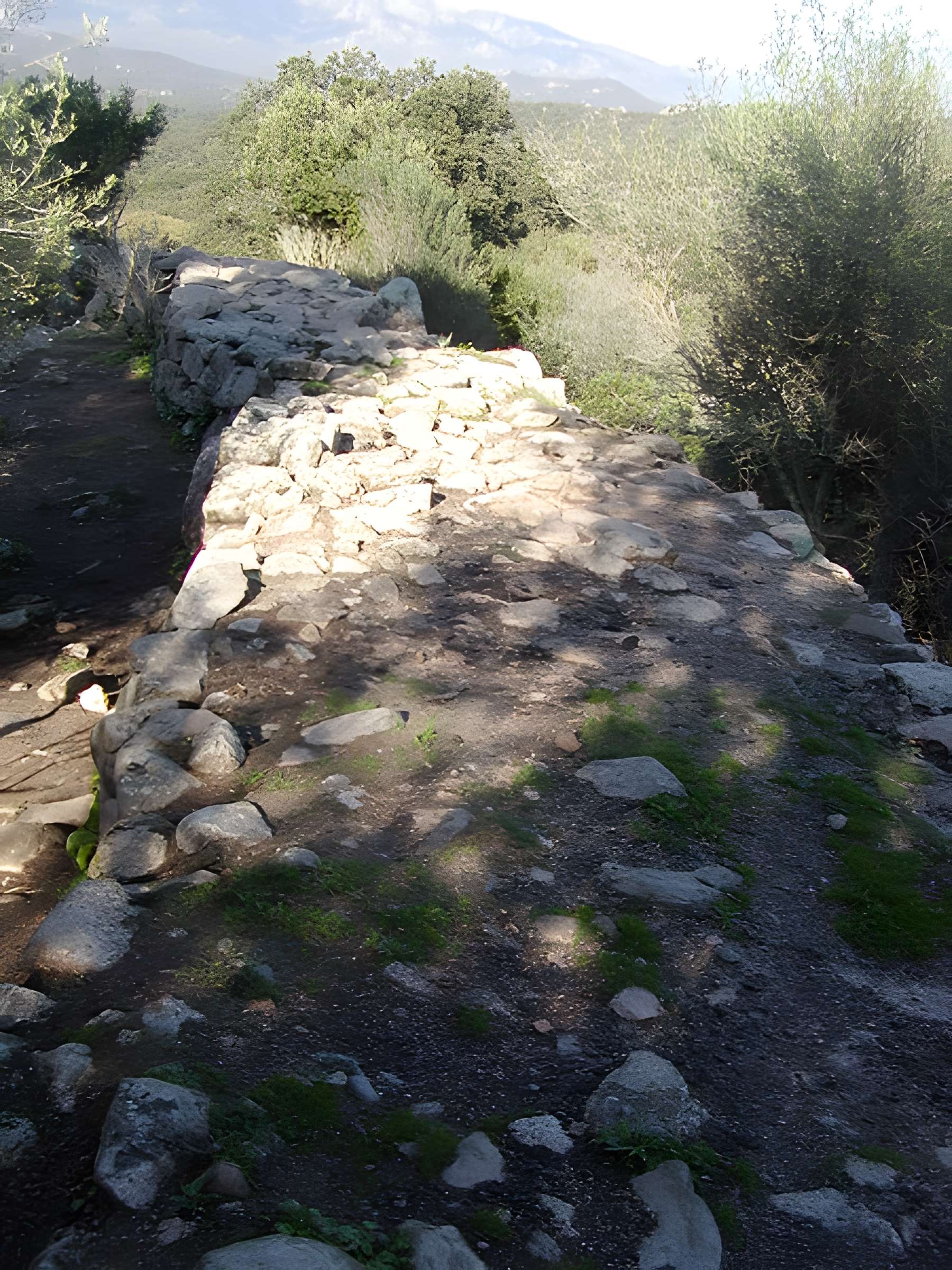 Site archéologique de Tappa