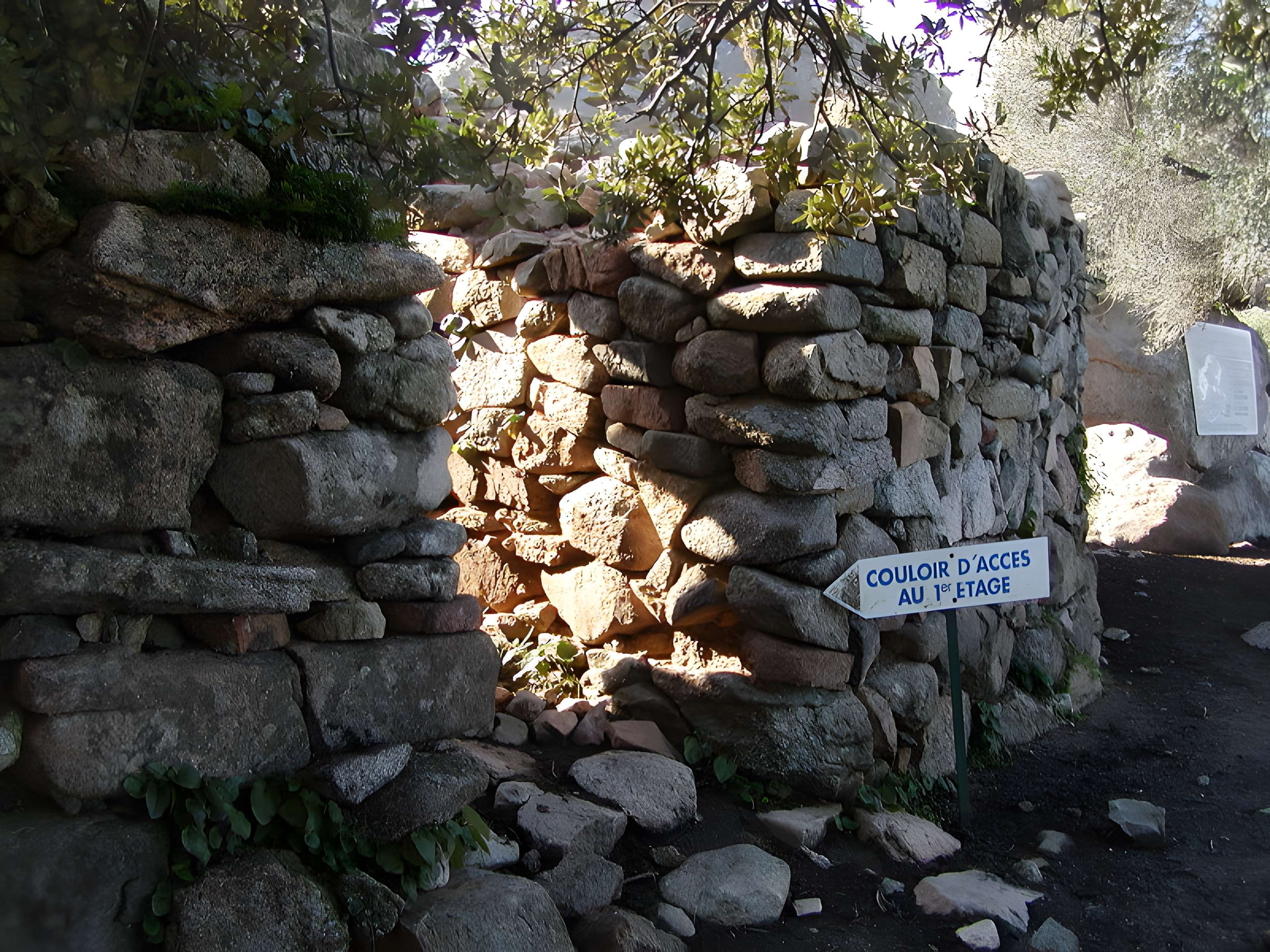 Site archéologique de Tappa