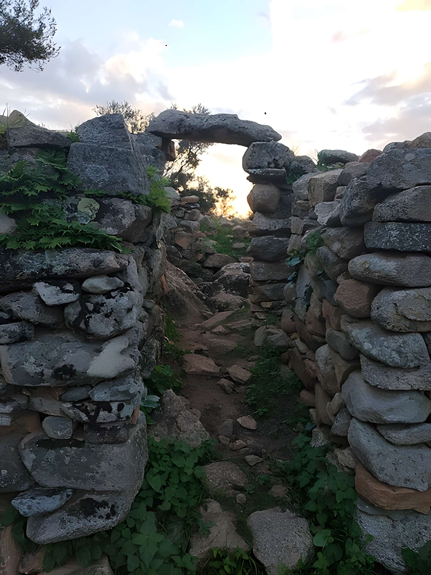 Site archéologique de Tappa