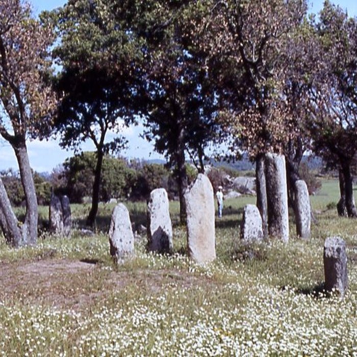Photo de Alignements de statues-menhirs dénommés Rinaiu et I Stantare