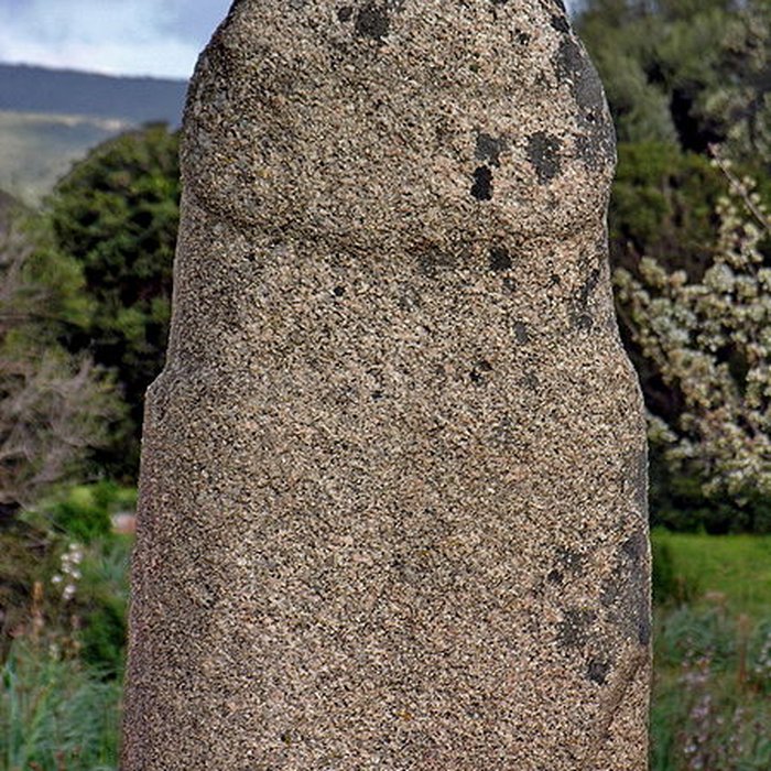Photo de Alignements de statues-menhirs dénommés Rinaiu et I Stantare
