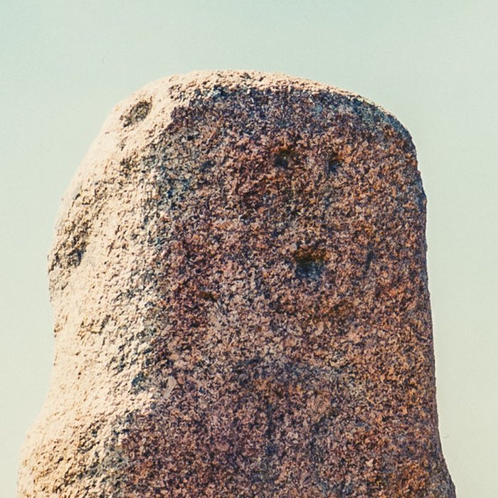 Photo de Alignements de statues-menhirs dénommés Rinaiu et I Stantare