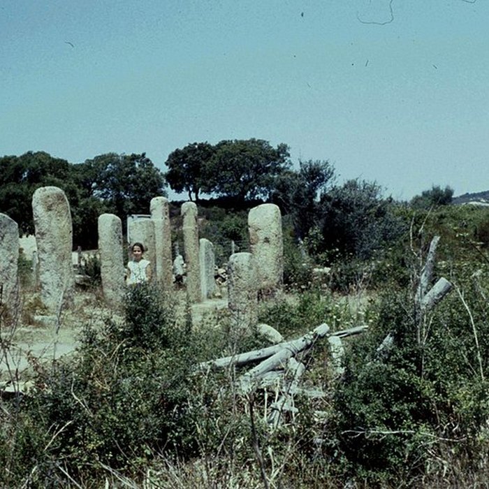 Photo de Alignements de statues-menhirs dénommés Rinaiu et I Stantare