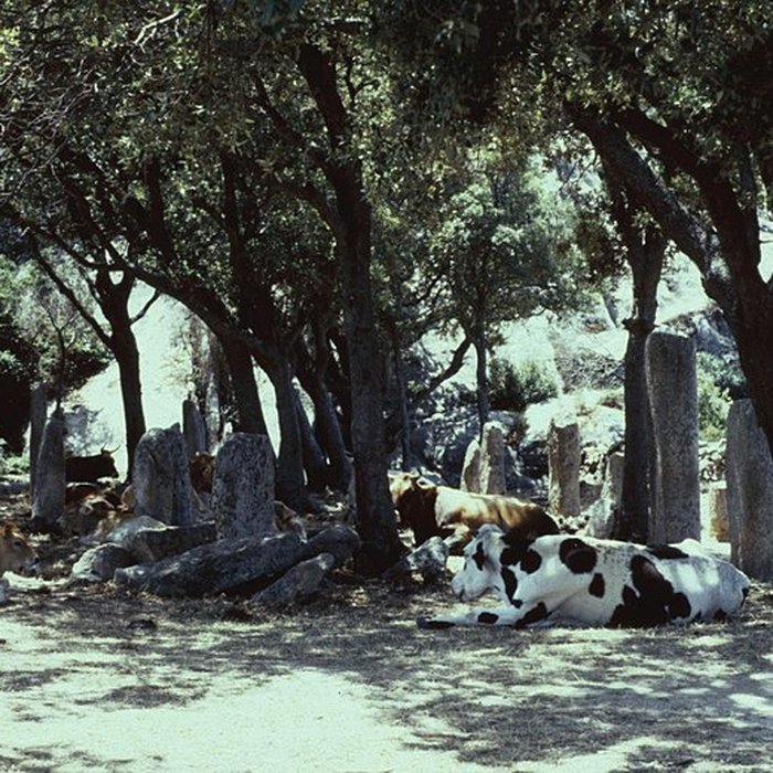 Photo de Alignements de statues-menhirs dénommés Rinaiu et I Stantare