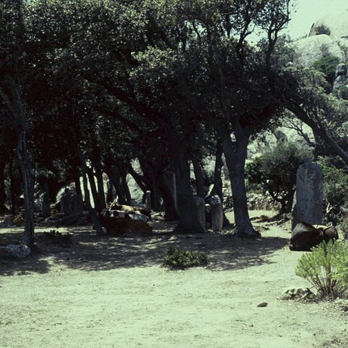 Photo de Alignements de statues-menhirs dénommés Rinaiu et I Stantare