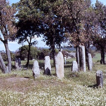 Alignements de statues-menhirs dénommés Rinaiu et I Stantare
