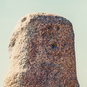 Alignements de statues-menhirs dénommés Rinaiu et I Stantare