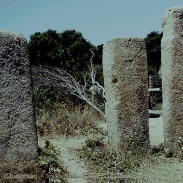 Alignements de statues-menhirs dénommés Rinaiu et I Stantare