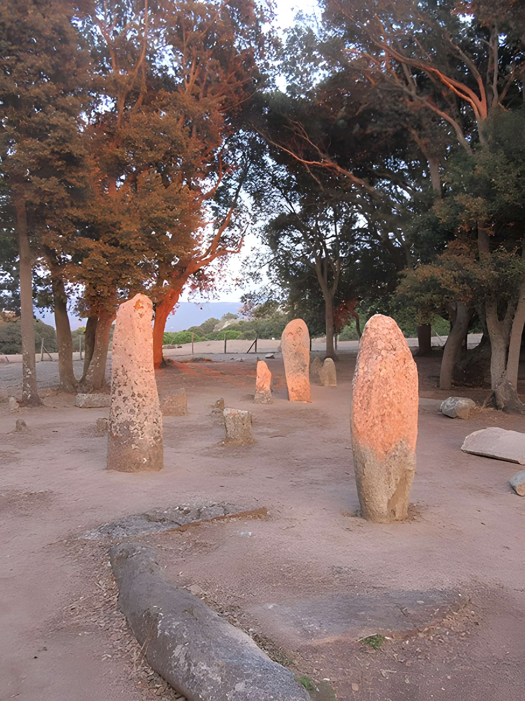 Alignements de statues-menhirs dénommés Rinaiu et I Stantare