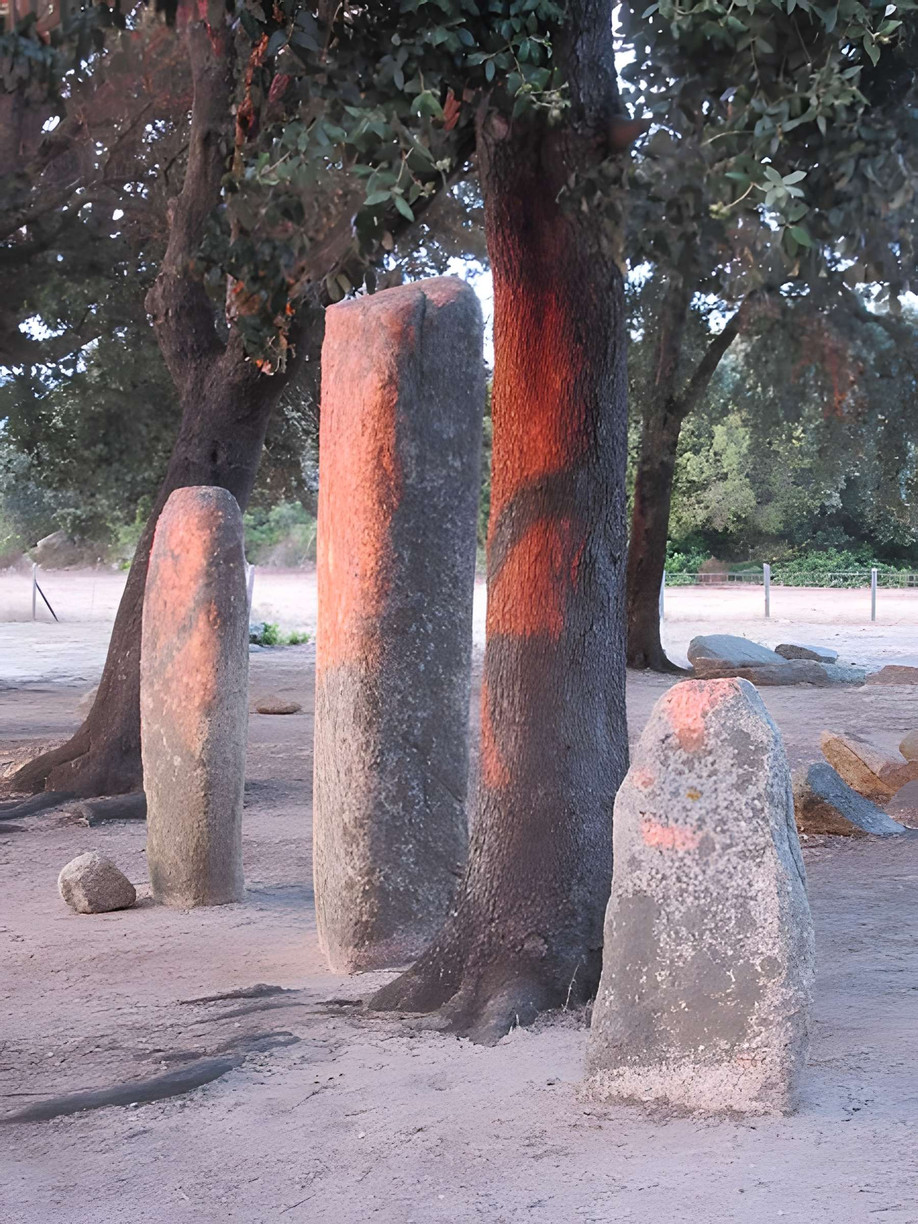 Alignements de statues-menhirs dénommés Rinaiu et I Stantare