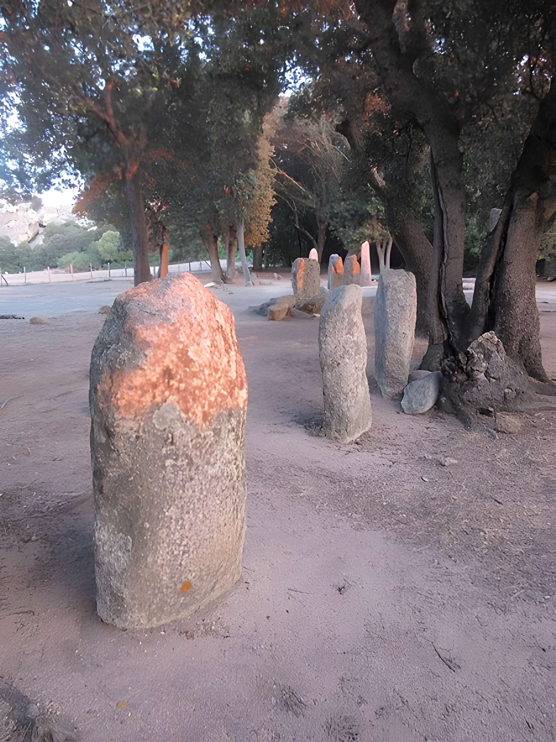 Alignements de statues-menhirs dénommés Rinaiu et I Stantare
