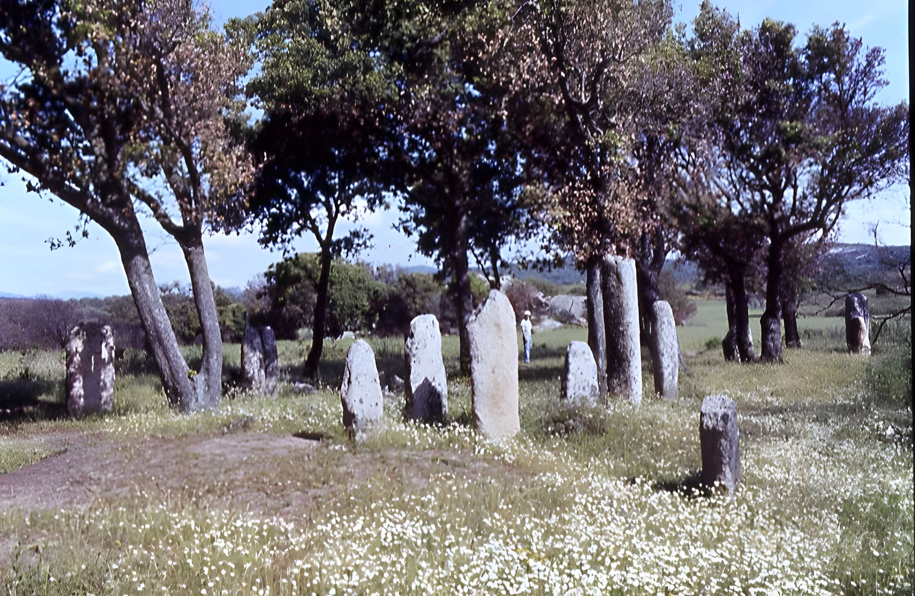Alignements de statues-menhirs dénommés Rinaiu et I Stantare
