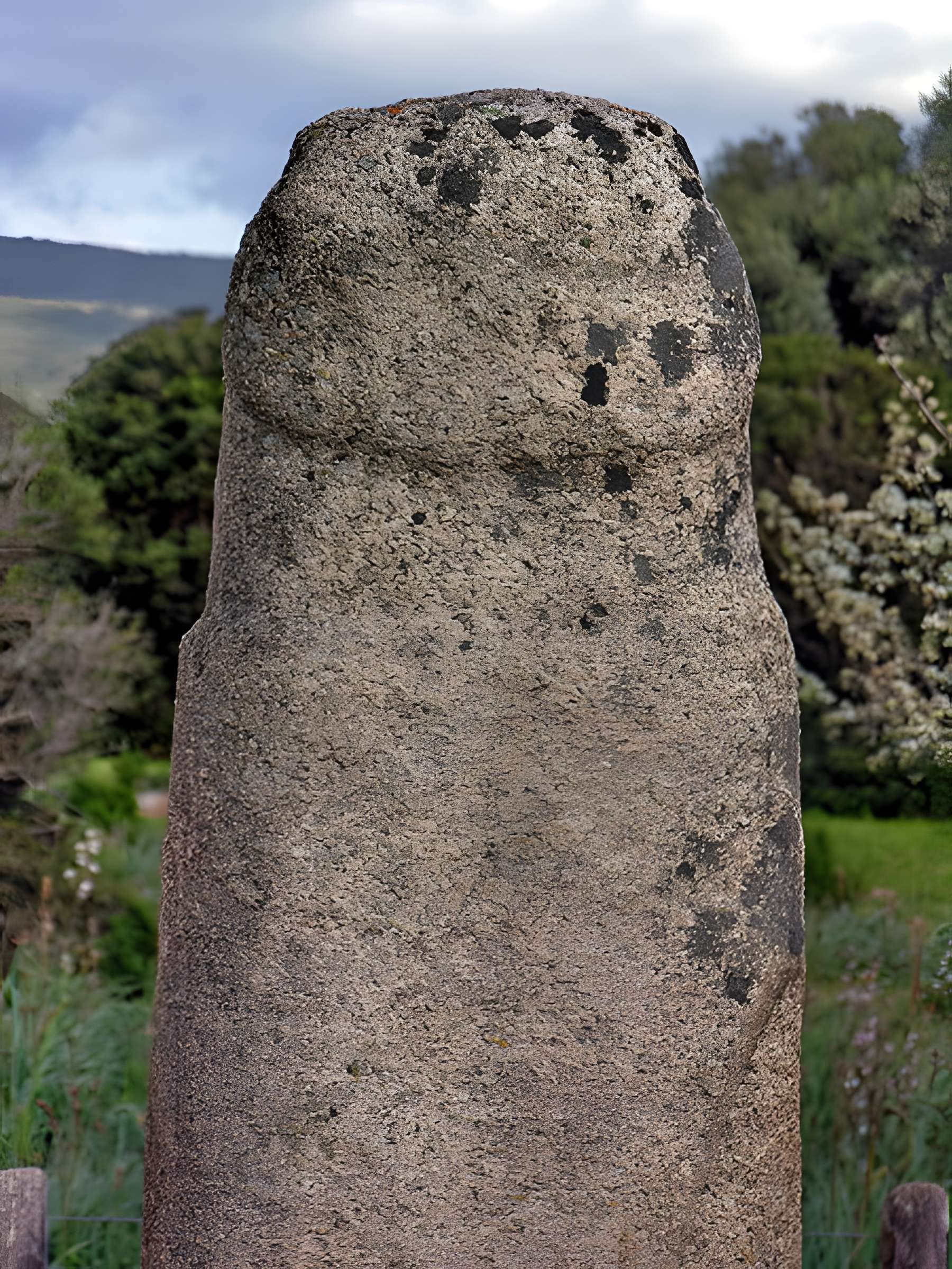 Alignements de statues-menhirs dénommés Rinaiu et I Stantare