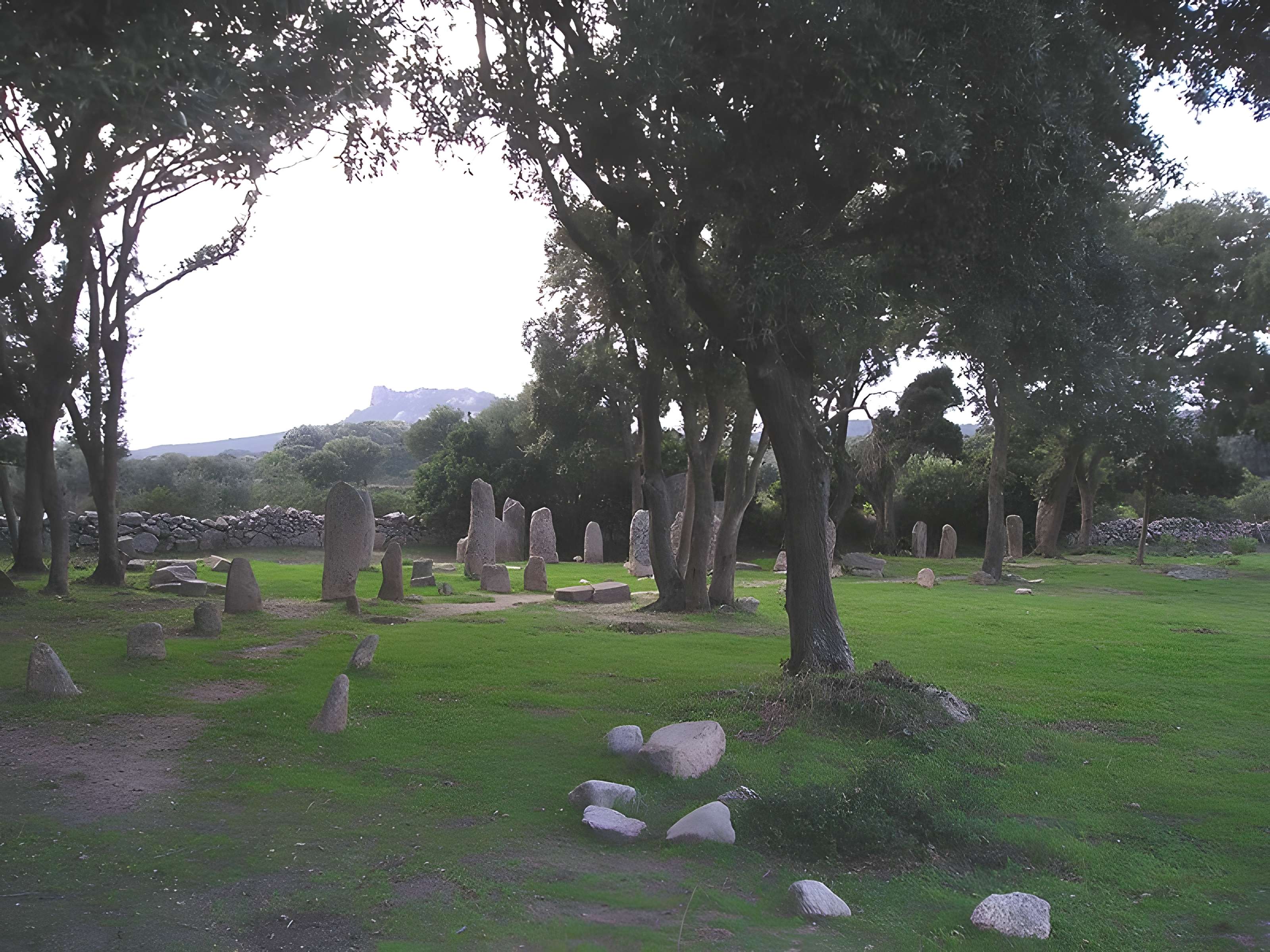 Alignements de statues-menhirs dénommés Rinaiu et I Stantare
