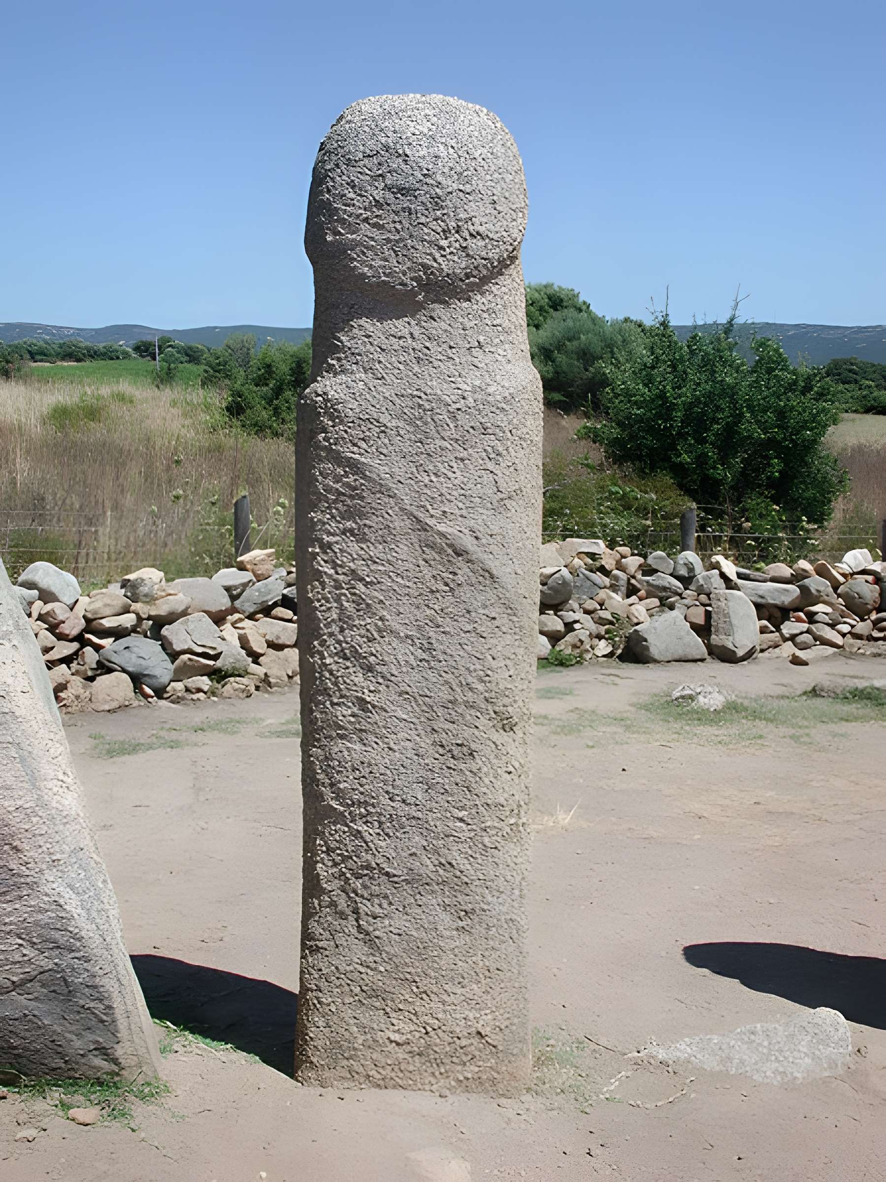 Alignements de statues-menhirs dénommés Rinaiu et I Stantare