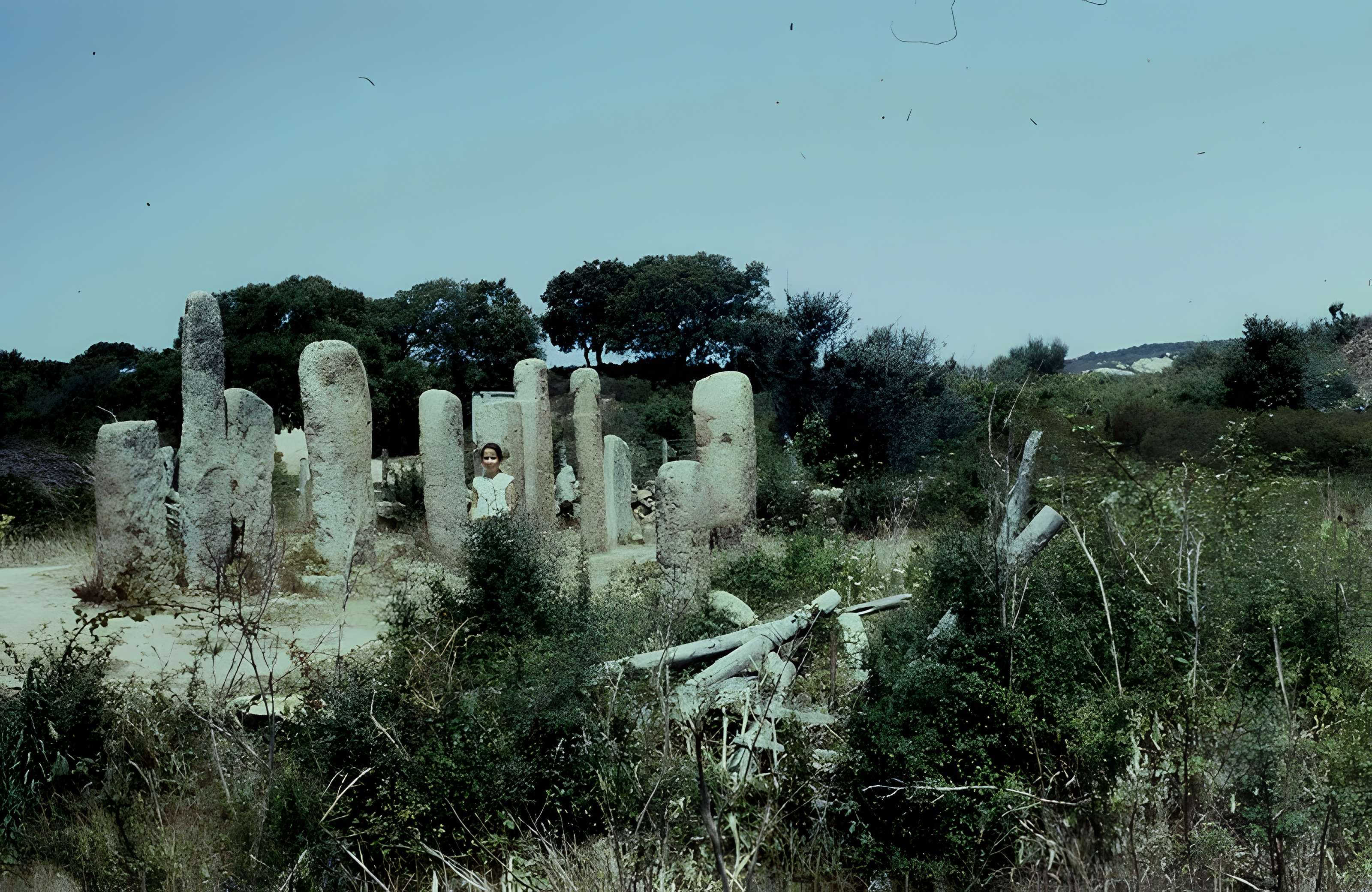 Alignements de statues-menhirs dénommés Rinaiu et I Stantare