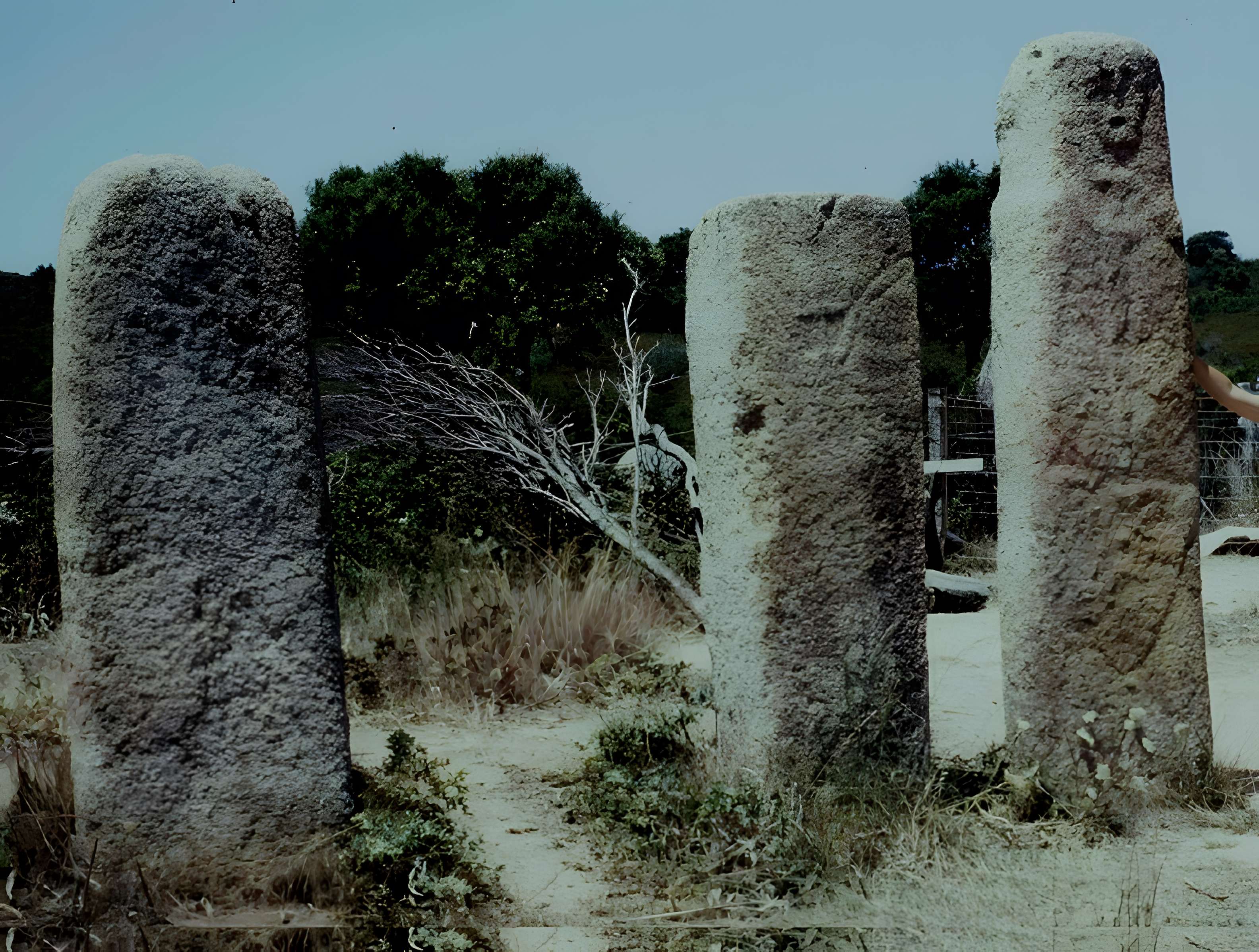 Alignements de statues-menhirs dénommés Rinaiu et I Stantare