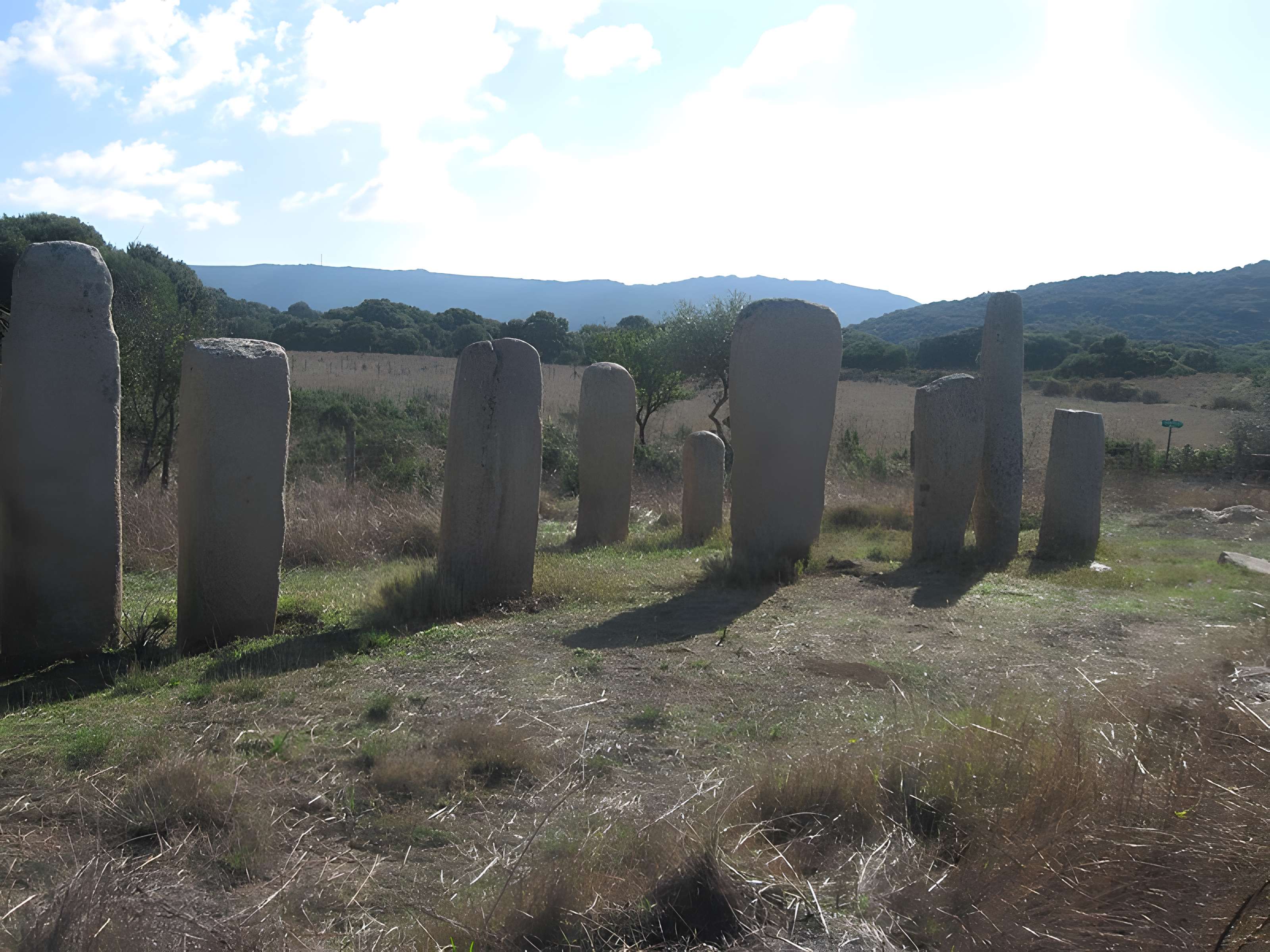 Alignements de statues-menhirs dénommés Rinaiu et I Stantare