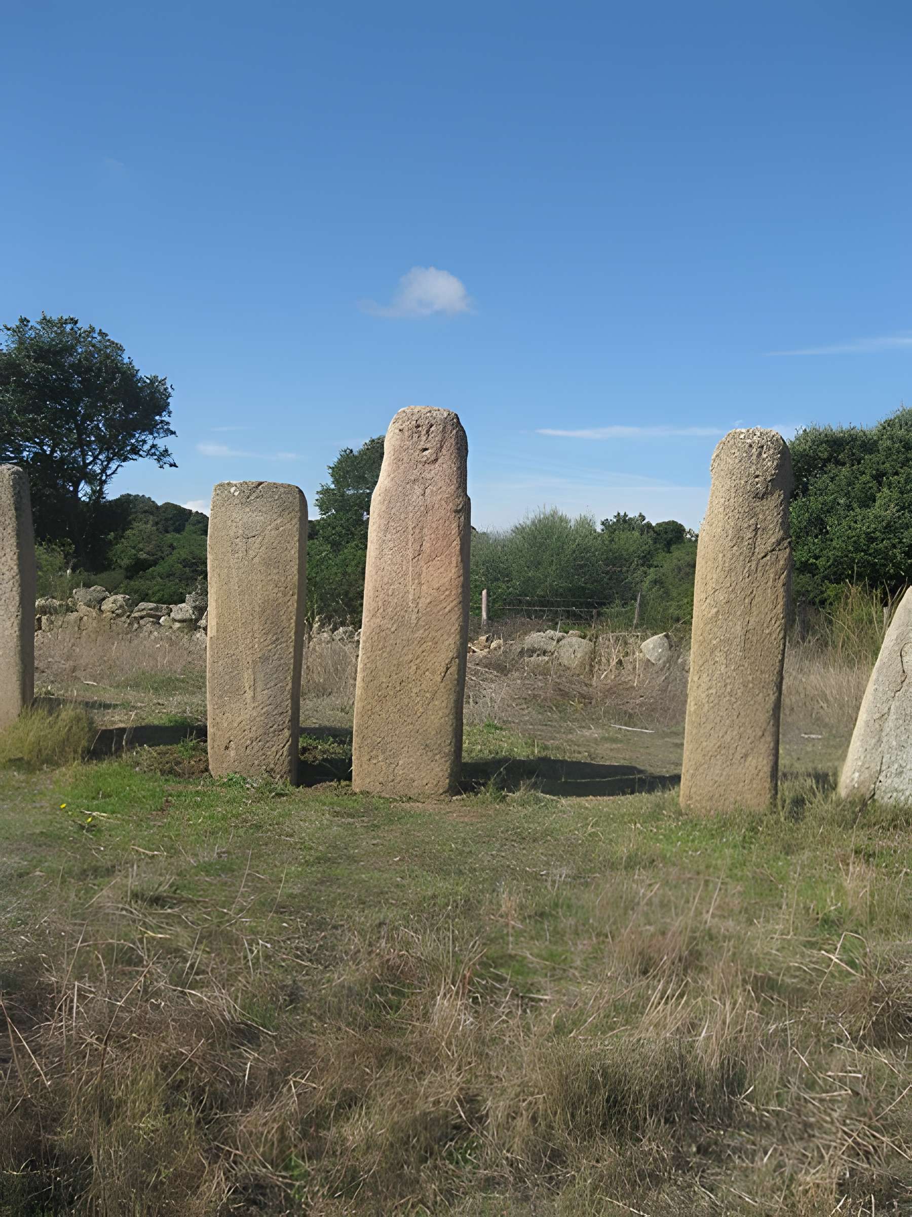 Alignements de statues-menhirs dénommés Rinaiu et I Stantare