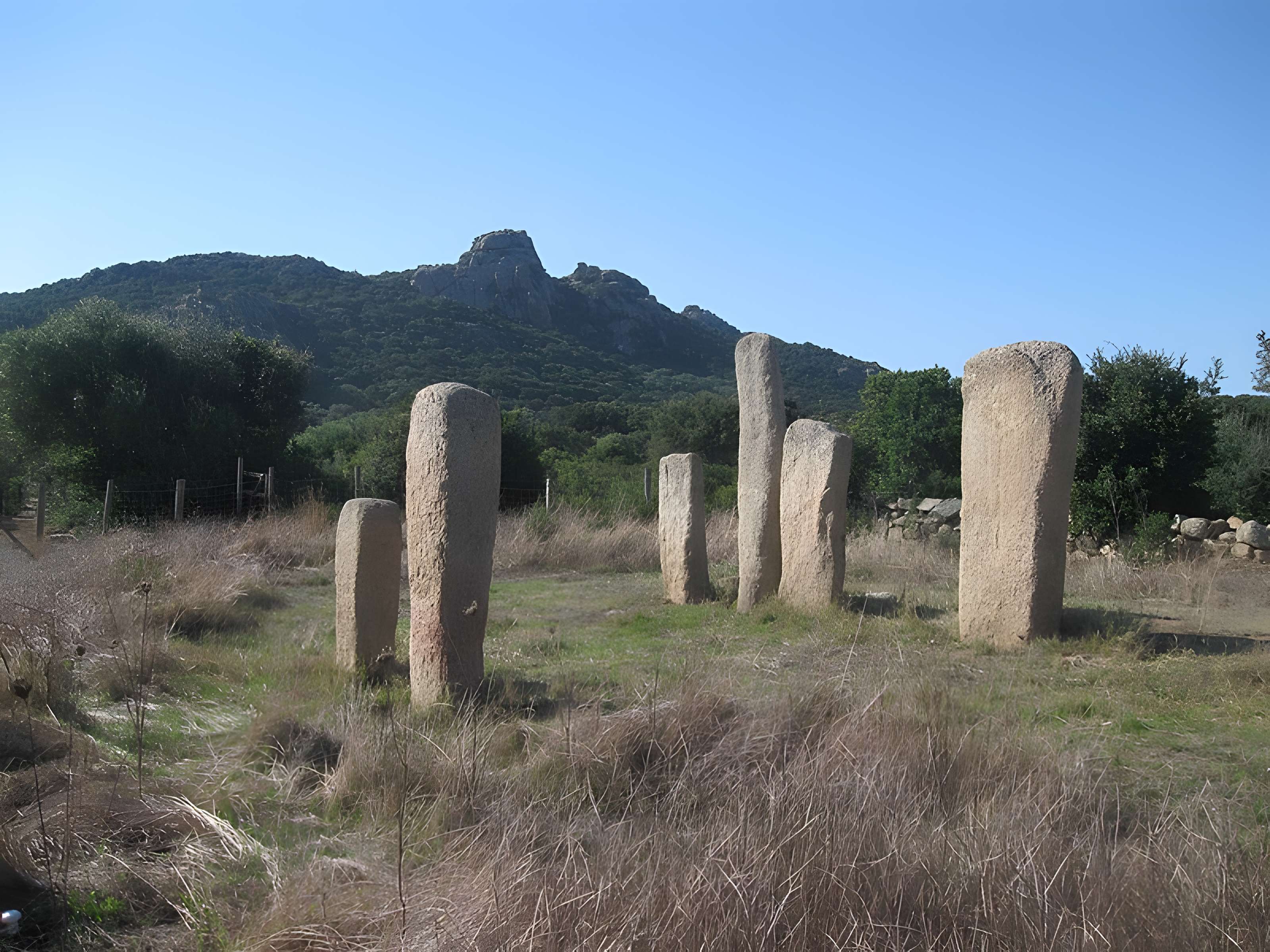 Alignements de statues-menhirs dénommés Rinaiu et I Stantare